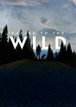 Watch Called to the Wild Zmovies