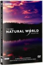 Watch The Natural World Zmovies