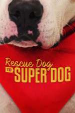 Watch Rescue Dog to Super Dog (US) Zmovies