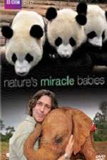 Watch Natures Miracle Babies Zmovies