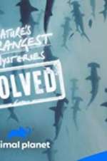 Watch Nature\'s Strangest Mysteries: Solved Zmovies