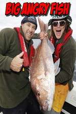 Watch Big Angry Fish Zmovies