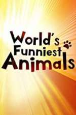 Watch The World\'s Funniest Animals Zmovies