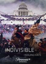 Watch Indivisible: Healing Hate Zmovies