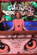 Watch Curious Creatures Zmovies