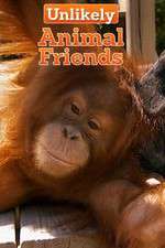 Watch Unlikely Animal Friends Zmovies