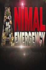 Watch Animal Emergency Zmovies