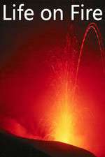 Watch Life on Fire Zmovies
