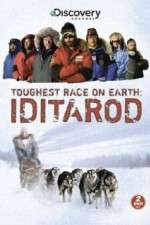 Watch Iditarod Zmovies