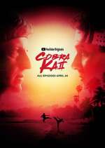 Watch Cobra Kai Zmovies