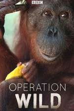 Watch Operation Wild Zmovies