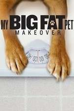 Watch My Big Fat Pet Makeover Zmovies