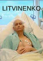 Watch Litvinenko Zmovies