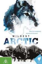 Watch Wildest Arctic Zmovies