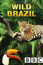 Watch Wild Brazil Zmovies