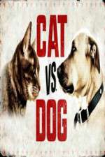 Watch Cat vs. Dog Zmovies