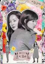 Watch Spring Turns to Spring Zmovies