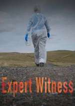 Watch Expert Witness Zmovies