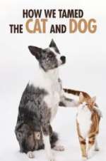 Watch How We Tamed the Cat and Dog Zmovies