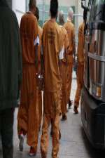 Watch First Week In Zmovies