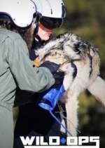 Watch Wild Ops Zmovies