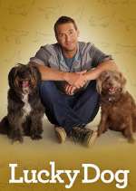 Watch Lucky Dog Zmovies