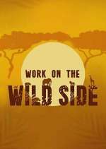 Watch Work on the Wild Side Zmovies