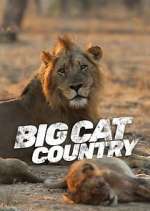 Watch Big Cat Country Zmovies