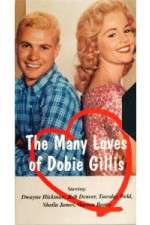 Watch The Many Loves of Dobie Gillis Zmovies