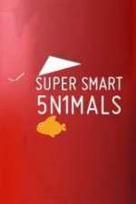 Watch Super Smart Animals Zmovies