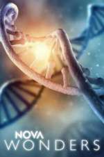 Watch NOVA Wonders Zmovies