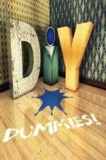 Watch DIY Dummies Zmovies