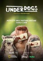 Watch Underdogs Zmovies