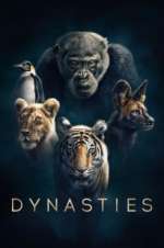 Watch Dynasties Zmovies
