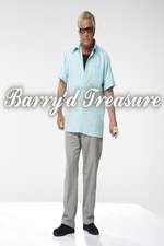 Watch Barryd Treasure Zmovies
