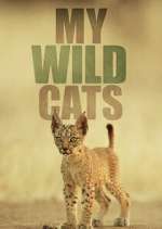 Watch My Wild Cats Zmovies