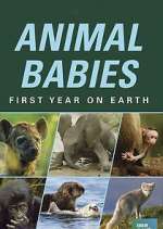 Watch Animal Babies: First Year on Earth Zmovies
