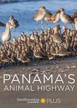 Watch Panama's Animal Highway Zmovies