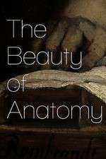 Watch The Beauty of Anatomy Zmovies