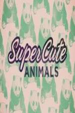 Watch Super Cute Animals Zmovies
