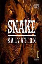 Watch Snake Salvation Zmovies