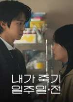 Watch Way Back Love Zmovies