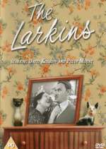 Watch The Larkins Zmovies