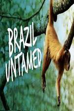 Watch Brazil Untamed Zmovies
