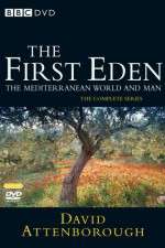 Watch The First Eden Zmovies
