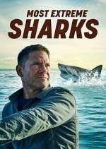 Watch Most Extreme Sharks Zmovies