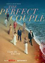 Watch The Perfect Couple Zmovies