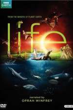 Watch Life Zmovies