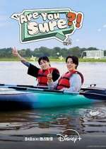 Watch Are You Sure? Zmovies