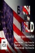Watch Born to Be Wild: The Golden Age of American Rock Zmovies